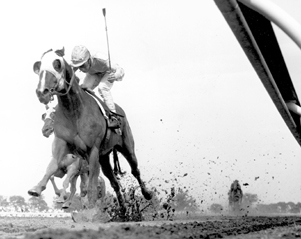 Vic Park Raceway Victoria Park | Canadian Horse Racing Hall of Fame