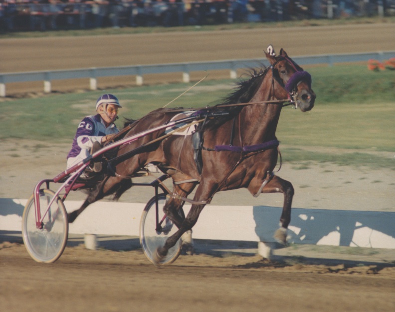 Niatross Canadian Horse Racing Hall of Fame