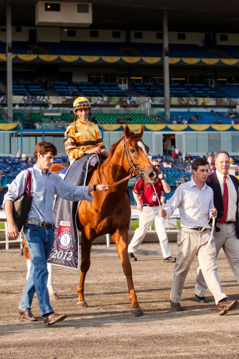 Wise Dan Canadian Horse Racing Hall of Fame